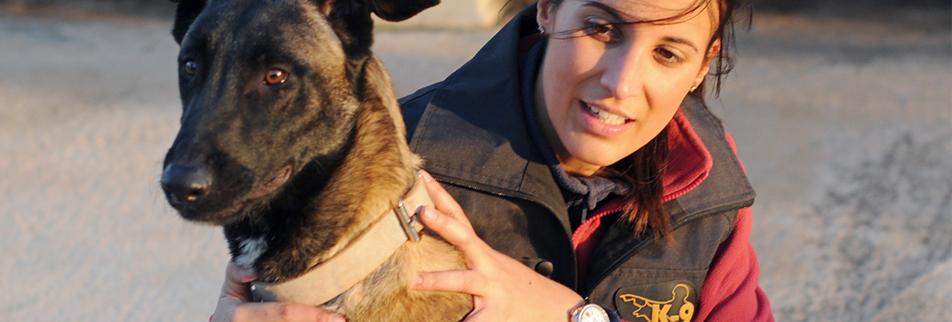 Adiestramiento Benicarló